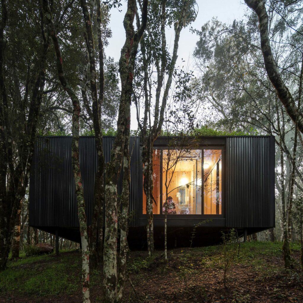 Black Cabin in the Woods
